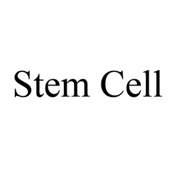 استم سل stem cell